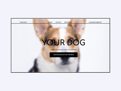 Landing page for veterinary clinic. design landingpage web webdesign website