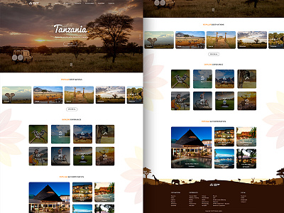 Lifestyle Safari - landing page design animals footer interest photography places safari tour travel wild life