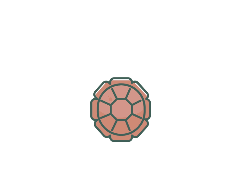 Peekaboo animal animation art character character animation cute design gif shell turtle