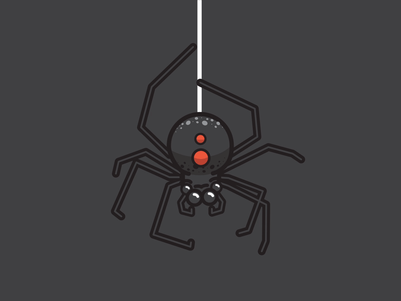 Spider animation art design drawlloween gif motion design spider spiderman vector