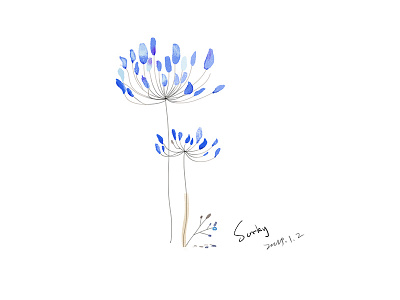 flower drawing