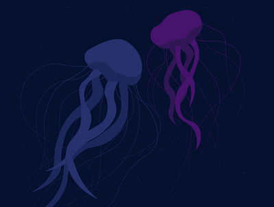 Jellyfish illustration vector