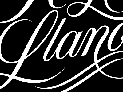 Type contrast calligraphy copperplate handlettering lettering logo logotype script type