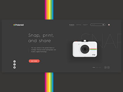 Polaroid — web design concept