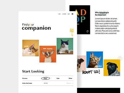 Companion - Home Page adoption animal animal adoption branding color design graphic design hand drawn home page homepage illustration landing page product design typography ui web design webpage