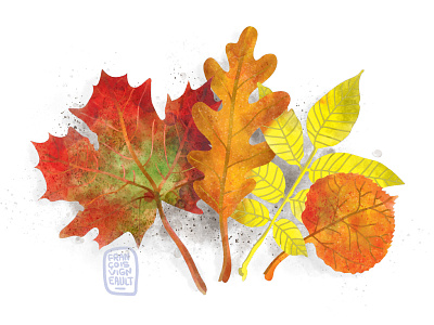 Leaves adobe illustrator adobe photoshop autumn calendar fall leaves illustration kyle brush leaves