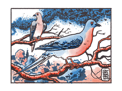 Passenger Pigeons