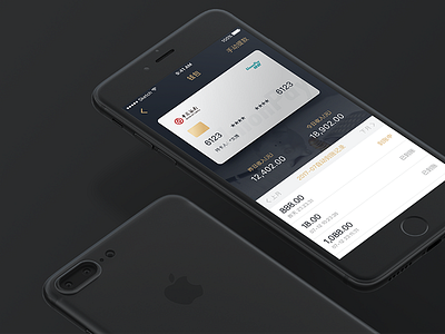 Shoukuantong Card bank card china of ui wallet