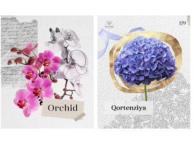 Flower shop instagram posts branding cover design flower flower shop illustration instagram posts sketching social media