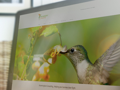 Hummingbird Consulting Site bird consulting design green hummingbird website