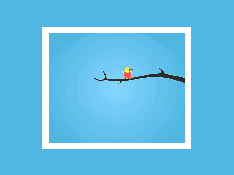 Oops bird blue branch empty screen error message mobile app photoshop red tree ui ux ux animation web yellow