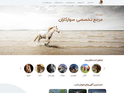 Horse riding website design dribbble horse riding ui ux web website اسب سواری قالب سایت یورتمه