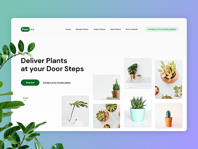 Plantera - Plant Based Business Website Design Exploration