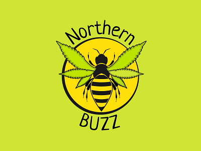 Northern Buzz branding design graphic design illustration logo vector