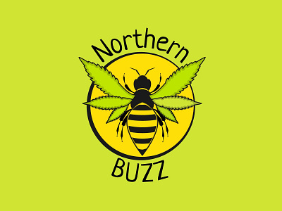 Northern Buzz