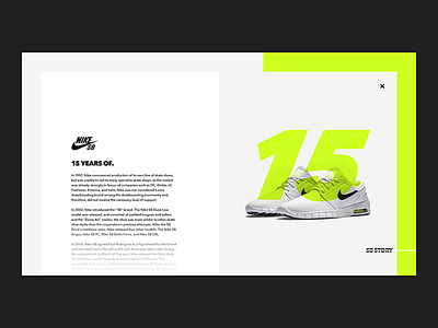 Nike SB 15 Years Case Study