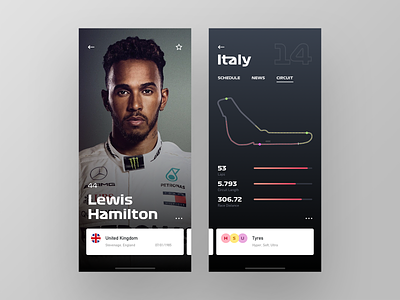 Formula One F 1 App Redesign (F1)