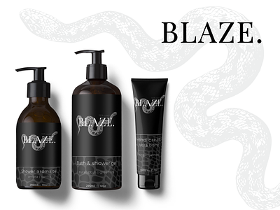 Blaze Branding brand branding composition design graphic design idea illustration logo