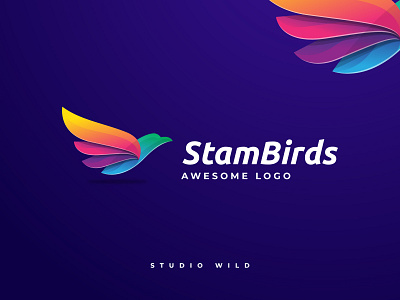 StamBirds Logo Concept app branding colorful concept design icon illustration logo minimalist modern ui vector