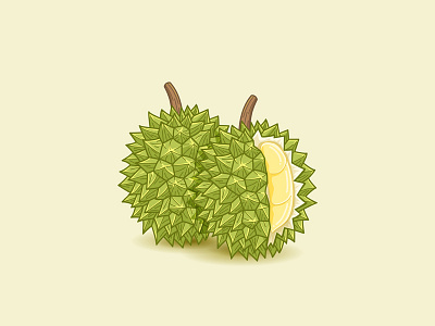 Durian durian fruit icon ilustration tropical vector