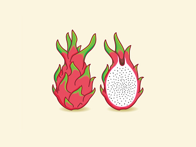 Dragon Fruit dragon fruit food fresh fruit illustration vector