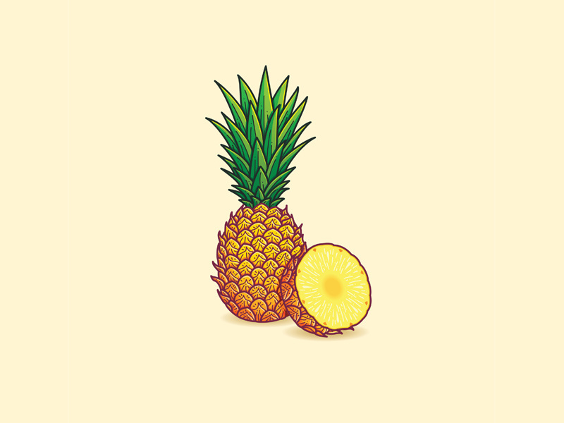 Pineapple tropical illustration vector fruit pineapple