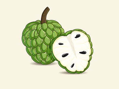 Custard Apple/Srikaya custard apple food fruit illustration srikaya sweet tropical fruit vector