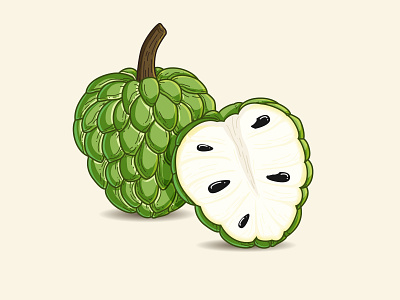 Custard Apple/Srikaya