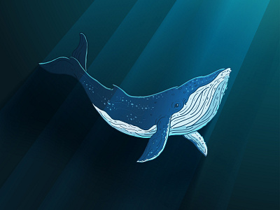 Whale by F.X. Kushartono on Dribbble