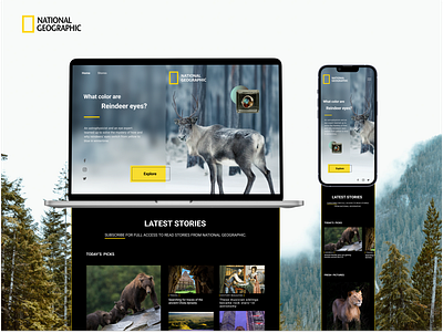 National Geographic's Responsive Landing Page design figma landing page national geographic responsive responsive design ui ux web design