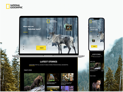 National Geographic's Responsive Landing Page