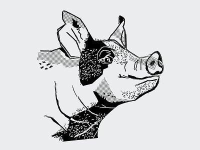 Future Pork 50s 60s design illustration john bosco mid century pig retro texture vector vintage