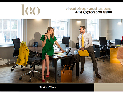 leo.co.uk design web