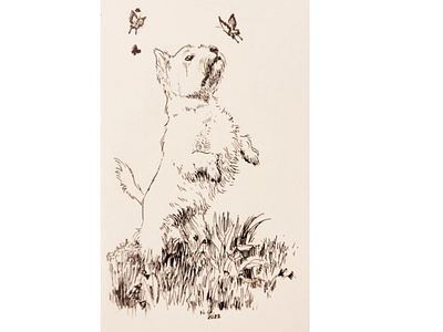 Westie and Butterflies aesthetic animal black and white cute dog drawing illustration sketch vintage
