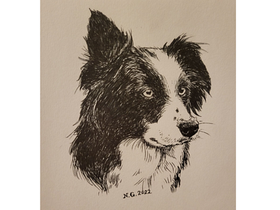 Border Collie aesthetic animal black and white border collie collie cute dog drawing illustration ink sketch vintage