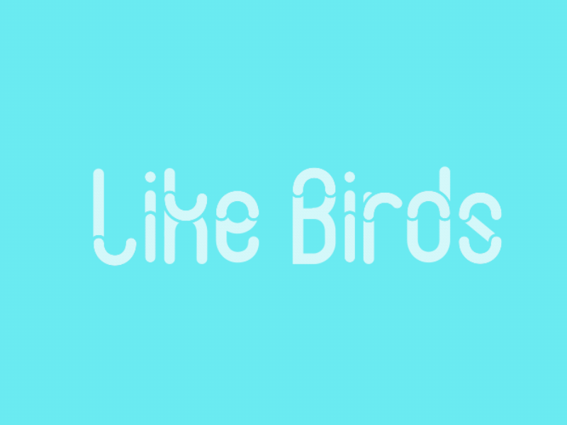 Like Birds 2d animated type bird flat gif logo loop particular rounded font title