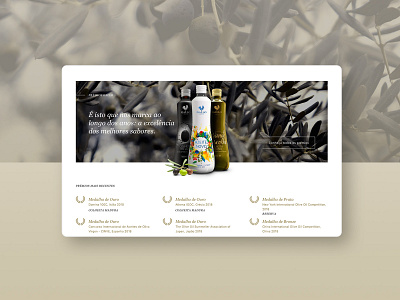 Awards section - Gallo Olive Oil awards design digital flat interaction layout responsive ui ux web