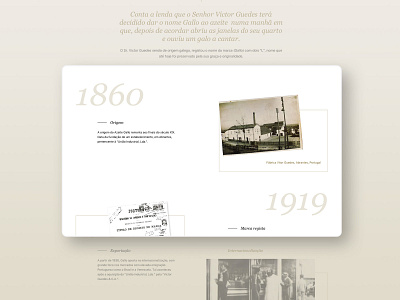 Overview from the history of the company