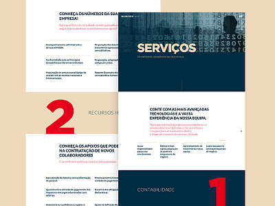 Numeric Services consulting layout web