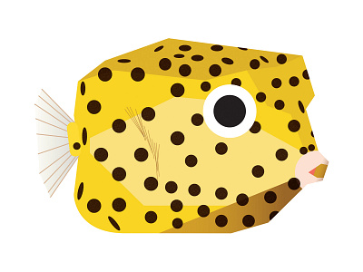 Yellow Boxfish aquarium aquatic biology box boxfish dots fish geometric graphic illustration marine minimal ocean polka dots science sea species vector water yellow
