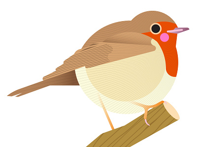 Little Robin (Erithacus rubecula) animal biology bird birdwatching design geometric graphic illustration minimal modern nature ornithology red robin simple species texture vector wings winter