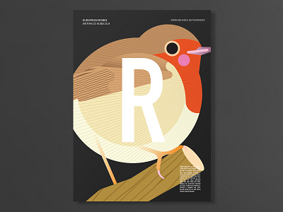 Robin Poster animal biology bird birdwatching colour design geometric graphic design illustration minimal modern nature ornithology poster poster art poster design red robin species wings