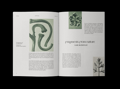 Epitaph Magazine book branding design editorial graphic design publication typography