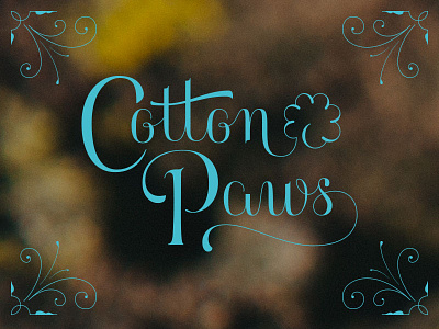 Cotton Paws brand curly cursive lettering ligature logo swashes type vintage