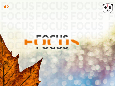 Focus autumn focus leaf stock