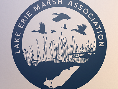 Lake Erie Marsh Association duck lake erie marsh waterfowl wetlands
