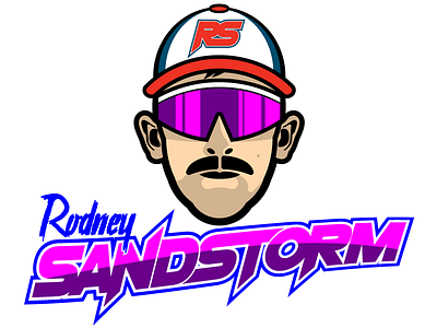 Rodney Sandstorm imsa racing rodney sandstorm taylor brothers wtr