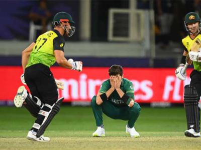 Dream Run came to a Tragic End australia fantasy cricket league icc world cup pakistan