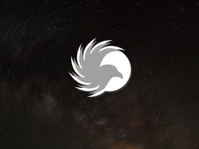 Logo branding eagle logo vector