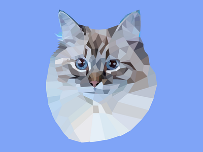 Nice cat cat design fluffy nice pet vector